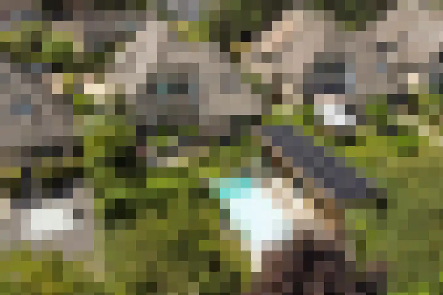 Nico Staalstraat 5 Hank thumbnail 91