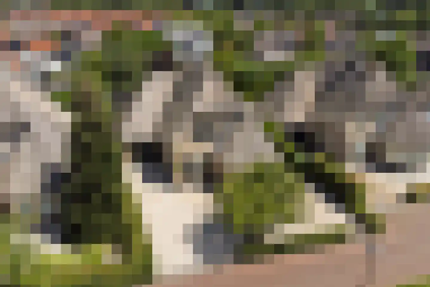 Nico Staalstraat 5 Hank thumbnail 96