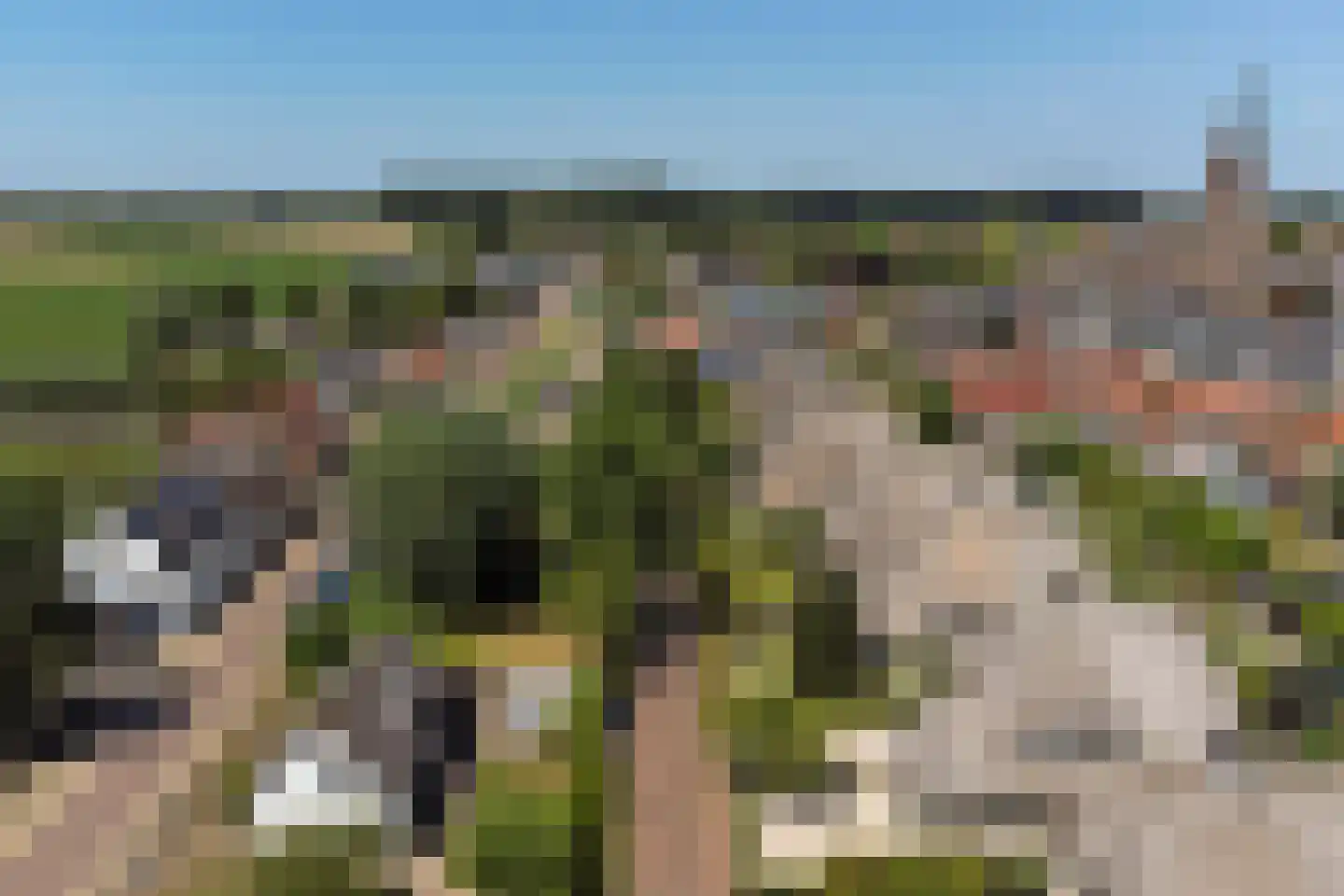 Nico Staalstraat 5 Hank thumbnail 98