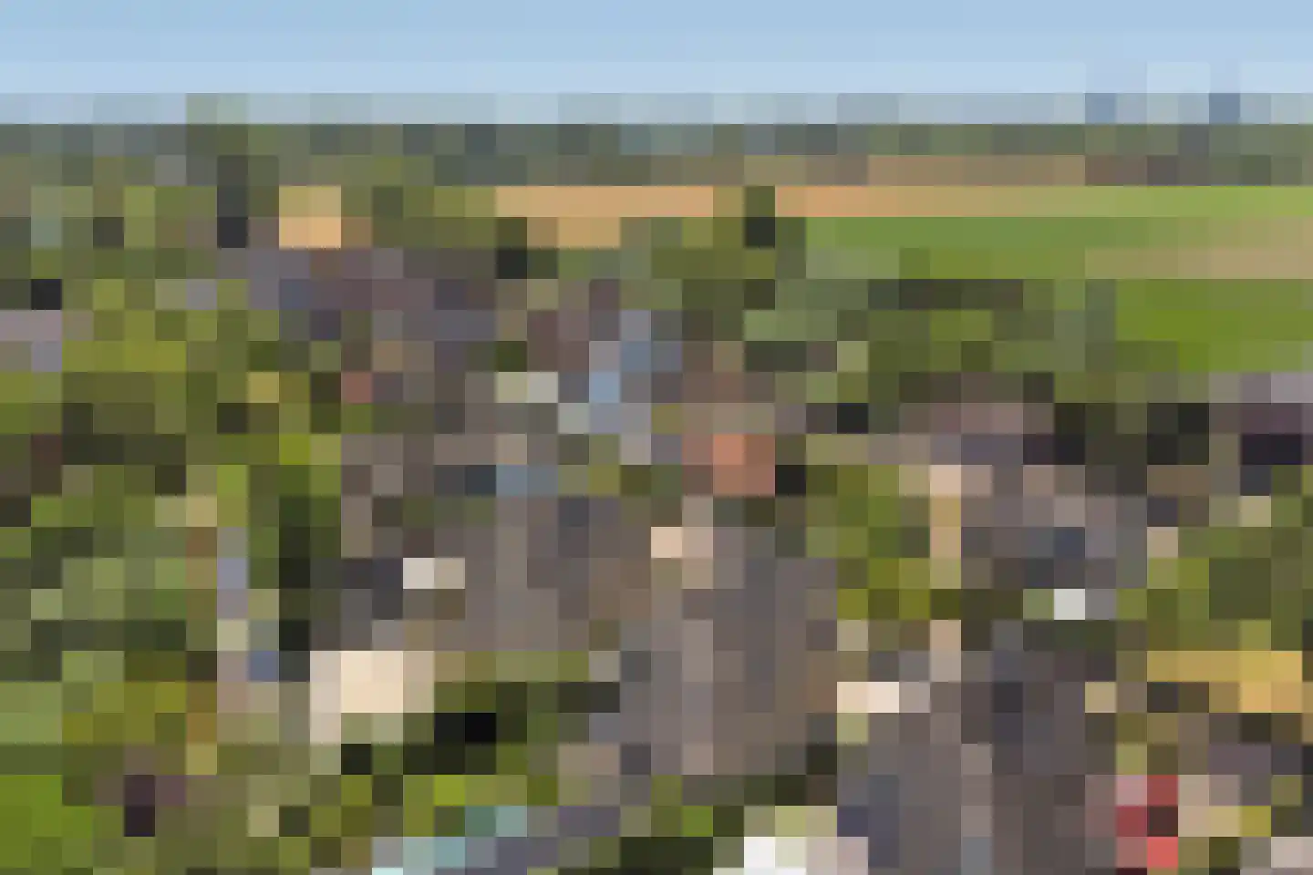 Nico Staalstraat 5 Hank thumbnail 99