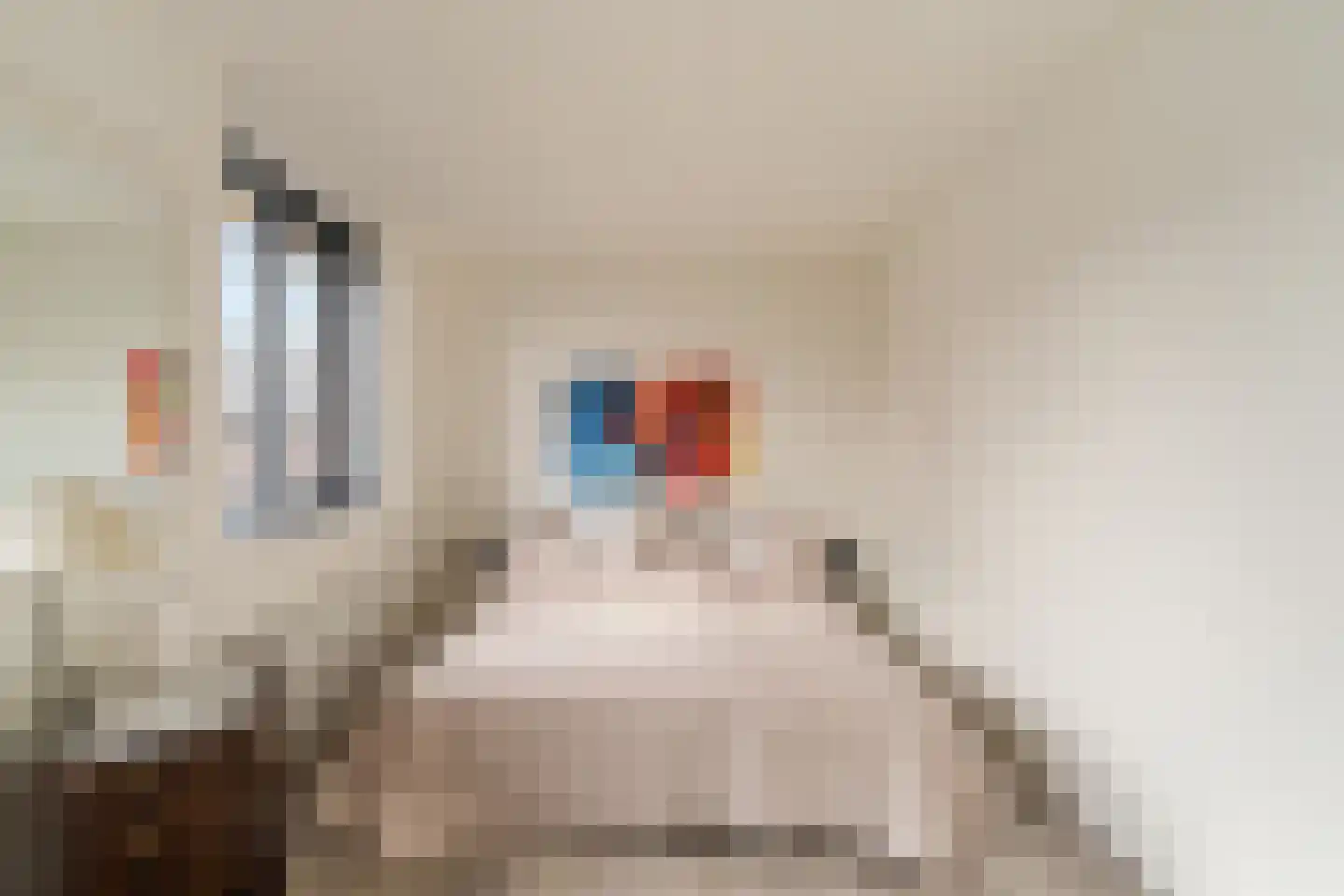 Nico Steenvoordenstraat 19 Noordwijk thumbnail 22