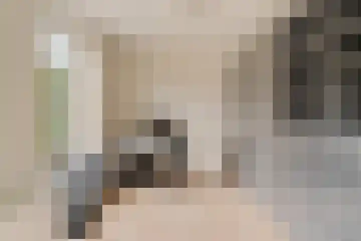 Nico Steenvoordenstraat 26 Noordwijk thumbnail 11