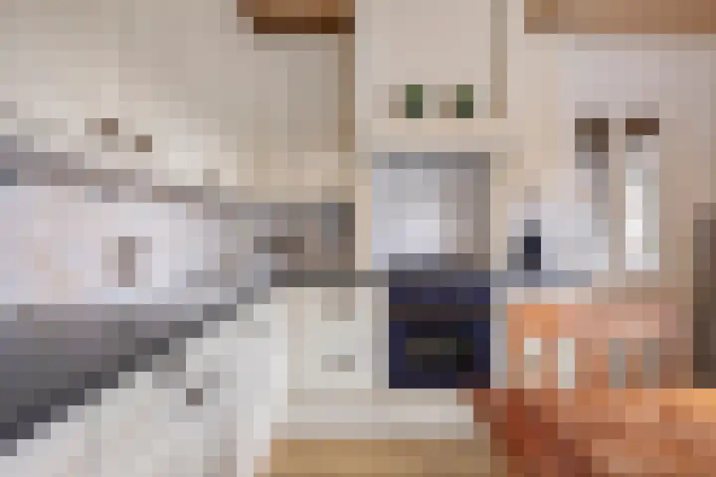 Nico Uyt den Bogaardstraat 13 Sas van Gent thumbnail 18