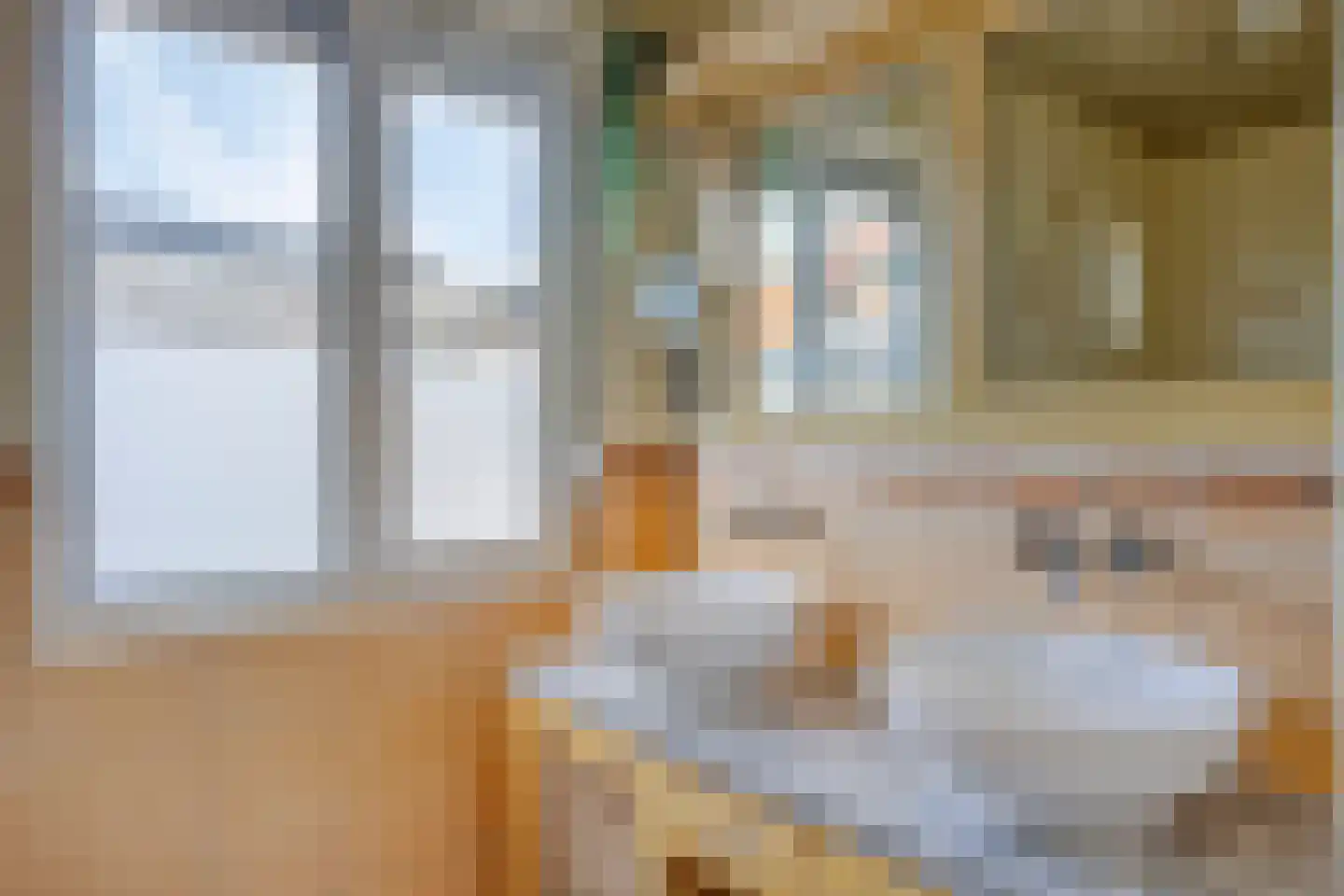 Nico Uyt den Bogaardstraat 13 Sas van Gent thumbnail 22