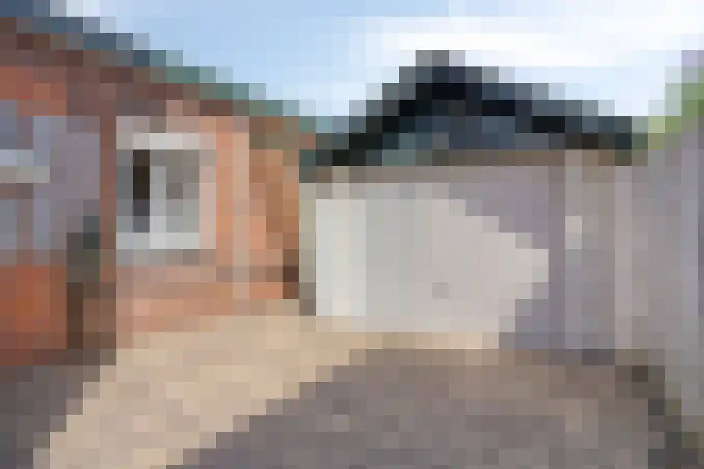 Nico Uyt den Bogaardstraat 13 Sas van Gent thumbnail 38