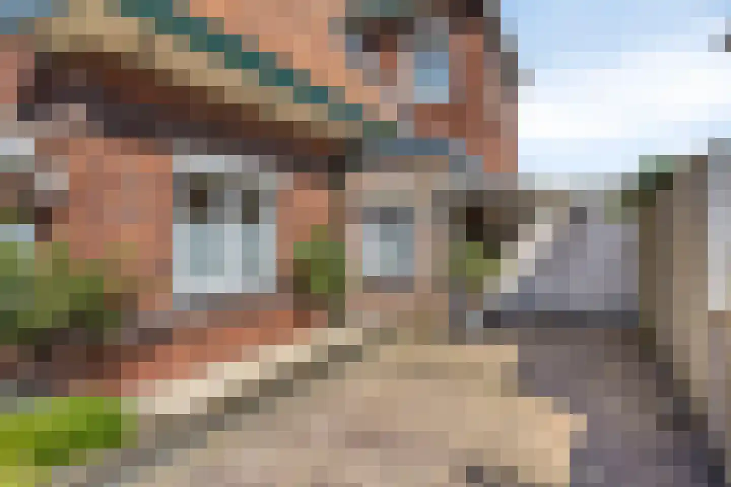 Nico Uyt den Bogaardstraat 13 Sas van Gent thumbnail 8
