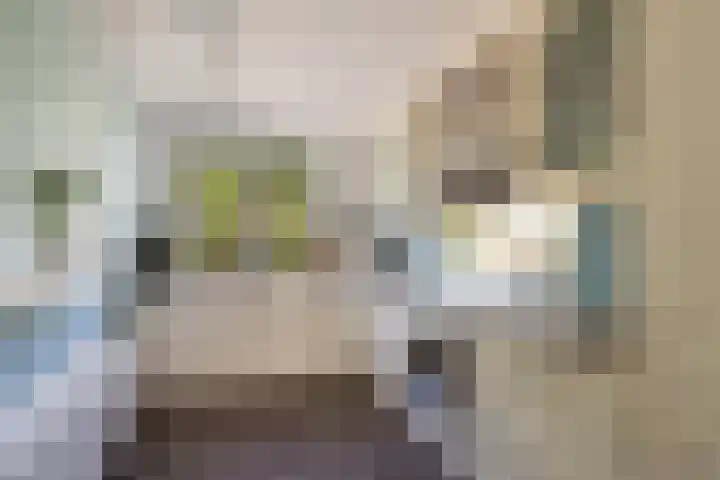 Nico van der Valkpad 3 Rotterdam thumbnail 13