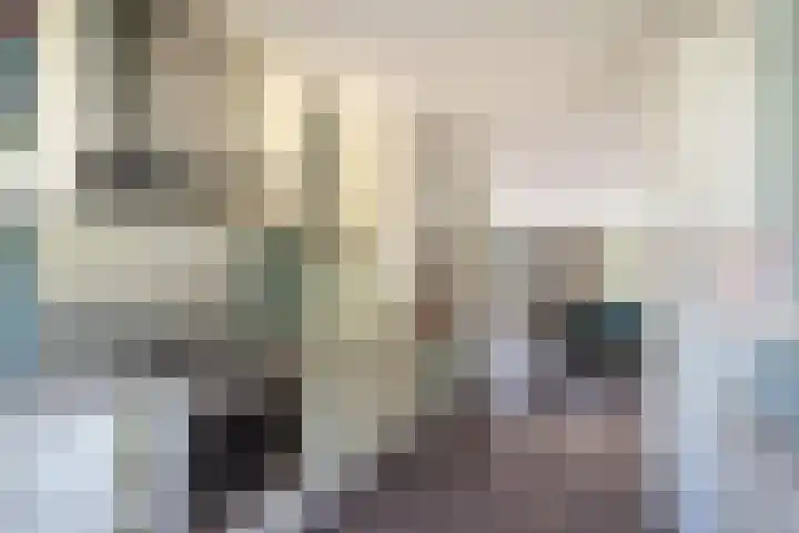 Nico van der Valkpad 3 Rotterdam thumbnail 14
