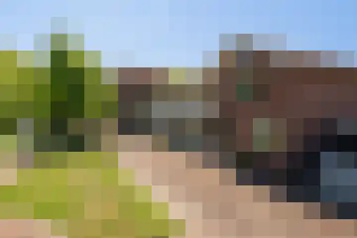 Nico van der Valkpad 3 Rotterdam thumbnail 5