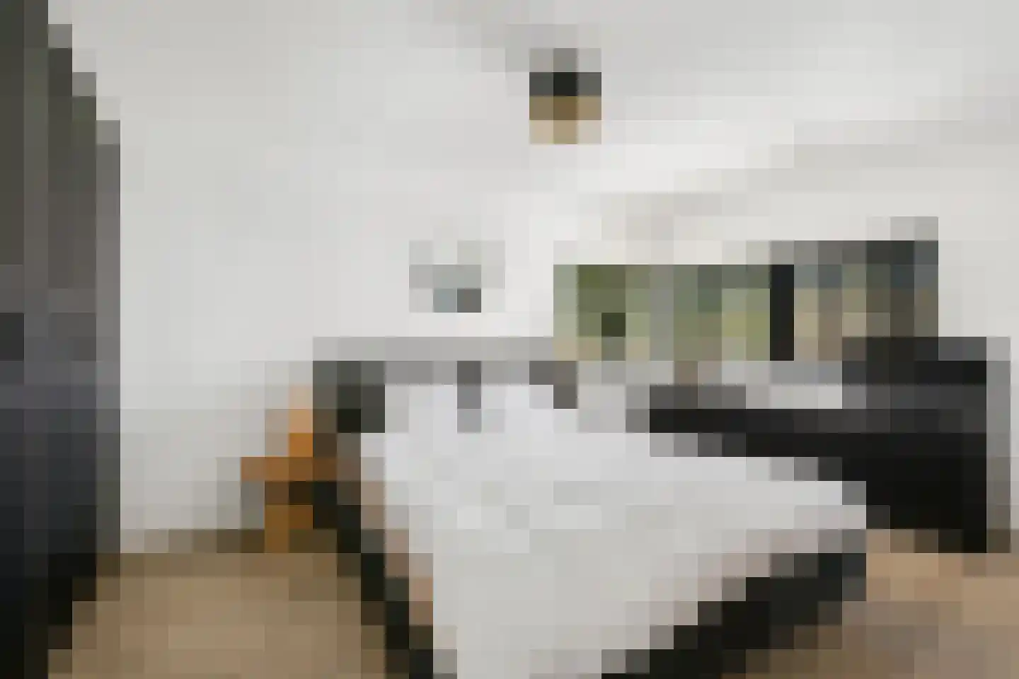 Nico van der Valkweg 12 Rotterdam thumbnail 21