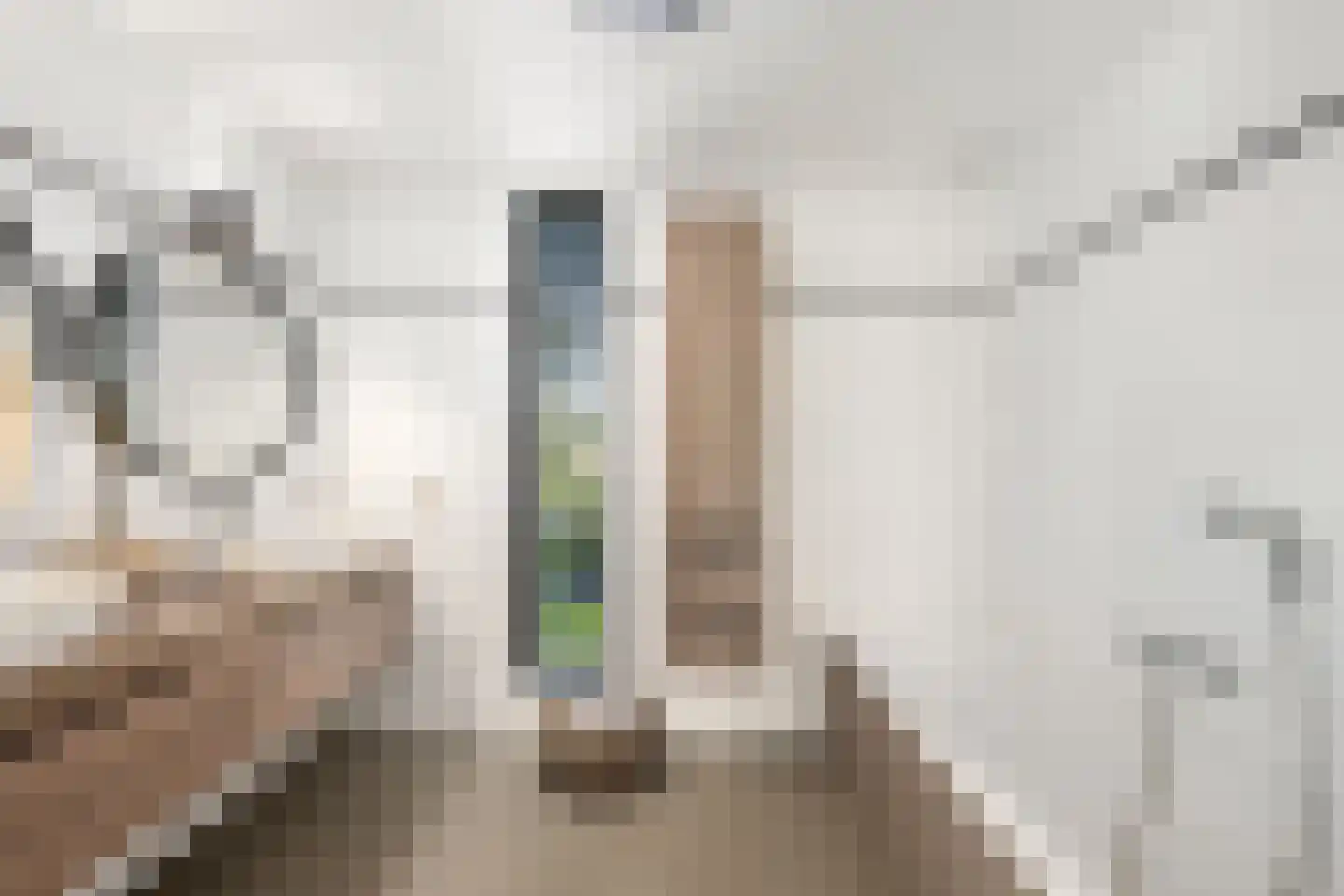 Nico van der Valkweg 12 Rotterdam thumbnail 23