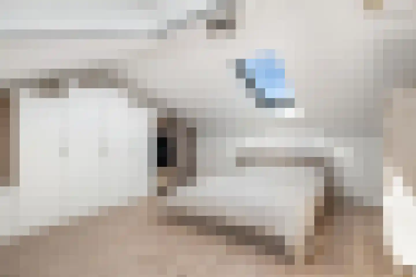 Nico van der Valkweg 12 Rotterdam thumbnail 32