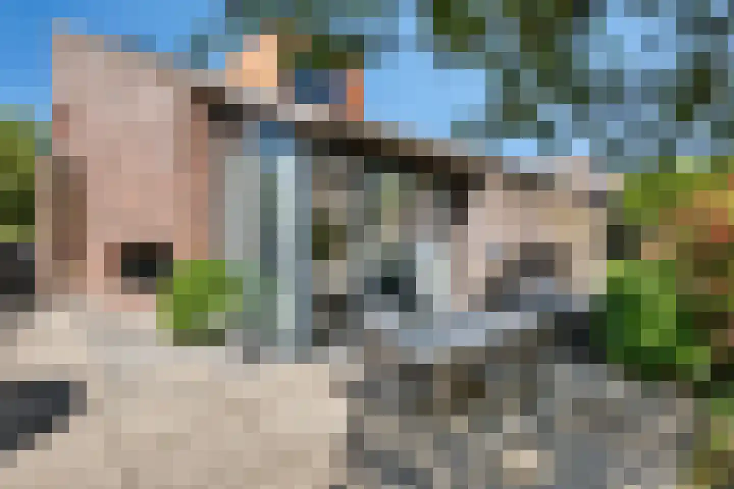 Nico van der Valkweg 12 Rotterdam thumbnail 35