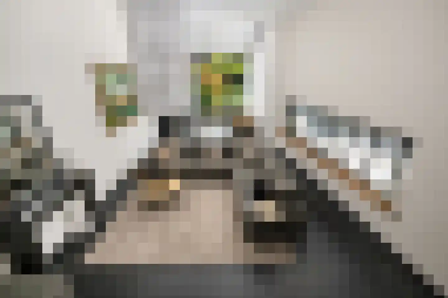 Nico van der Valkweg 12 Rotterdam thumbnail 5