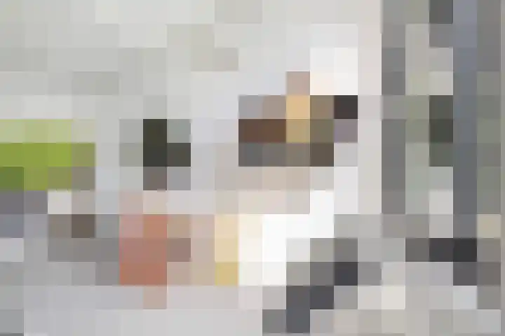 Nico van der Valkweg 2 Rotterdam thumbnail 18