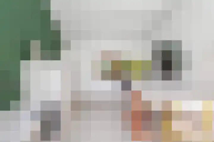 Nico van der Valkweg 2 Rotterdam thumbnail 19