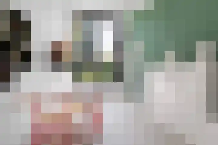 Nico van der Valkweg 2 Rotterdam thumbnail 20