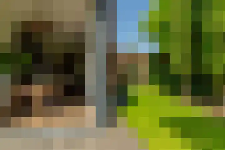 Nico van der Valkweg 2 Rotterdam thumbnail 21