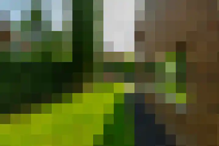 Nico van der Valkweg 2 Rotterdam thumbnail 22