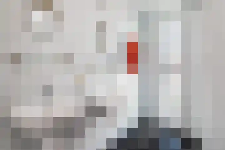 Nico van der Valkweg 2 Rotterdam thumbnail 33