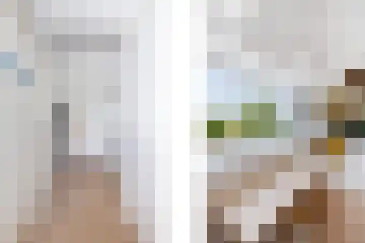 Nico van der Valkweg 2 Rotterdam thumbnail 35