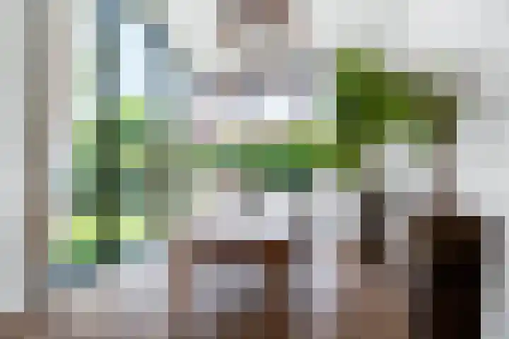 Nico van der Valkweg 2 Rotterdam thumbnail 5