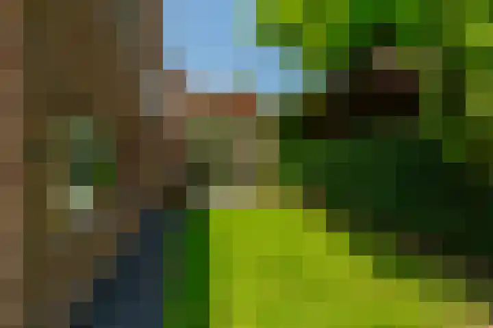 Nico van der Valkweg 2 Rotterdam thumbnail 52