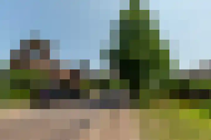 Nico van der Valkweg 2 Rotterdam thumbnail 57