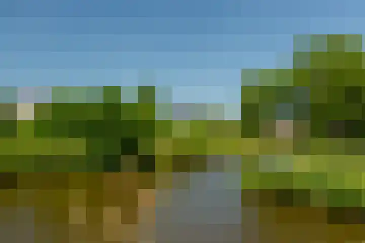 Nico van der Valkweg 2 Rotterdam thumbnail 59