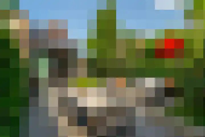 Nico van der Valkweg 2 Rotterdam thumbnail 6