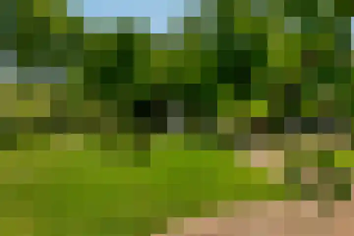Nico van der Valkweg 2 Rotterdam thumbnail 63