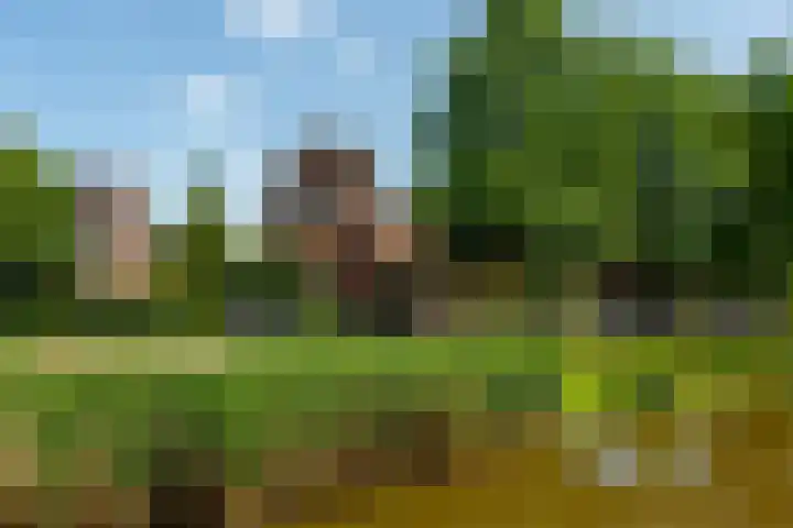 Nico van der Valkweg 2 Rotterdam thumbnail 69