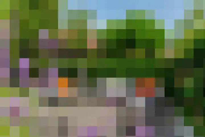 Nico van der Valkweg 2 Rotterdam thumbnail 7