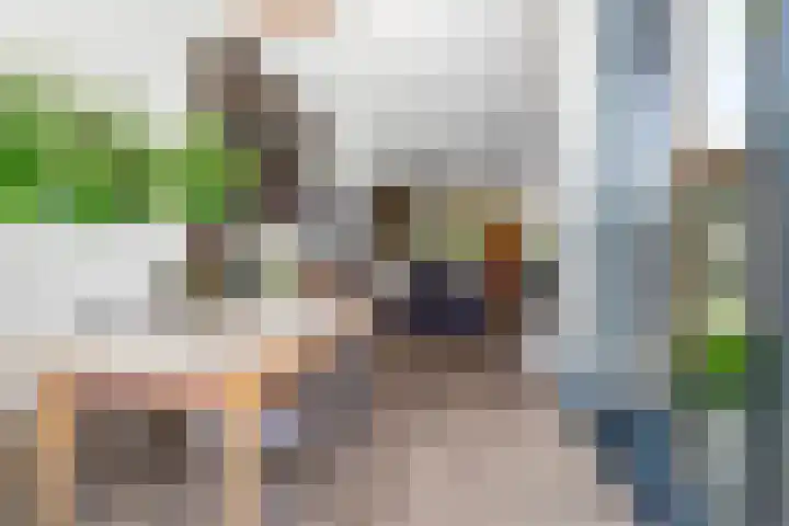 Nico van der Valkweg 2 Rotterdam thumbnail 8