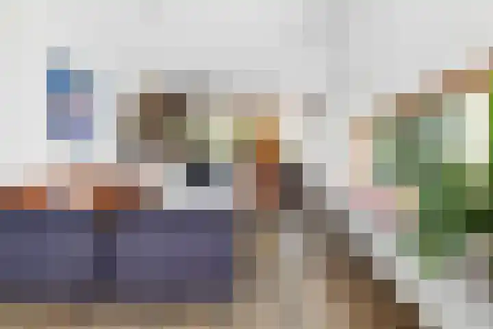 Nico van der Valkweg 2 Rotterdam thumbnail 9