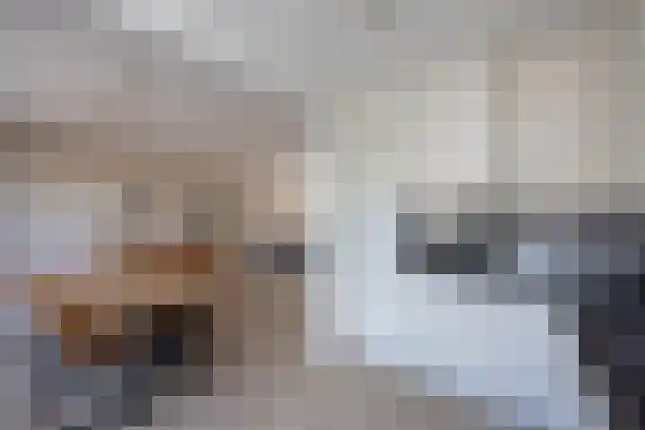Nico van Suchtelenstraat 11 Hengelo thumbnail 10