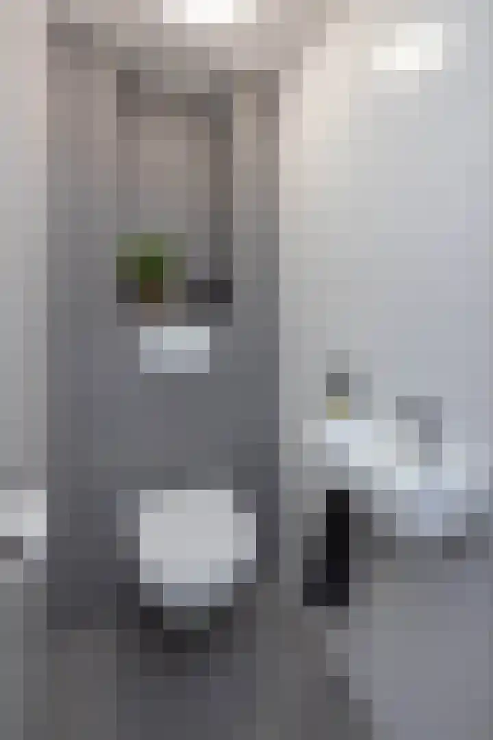 Nico van Suchtelenstraat 11 Hengelo thumbnail 12