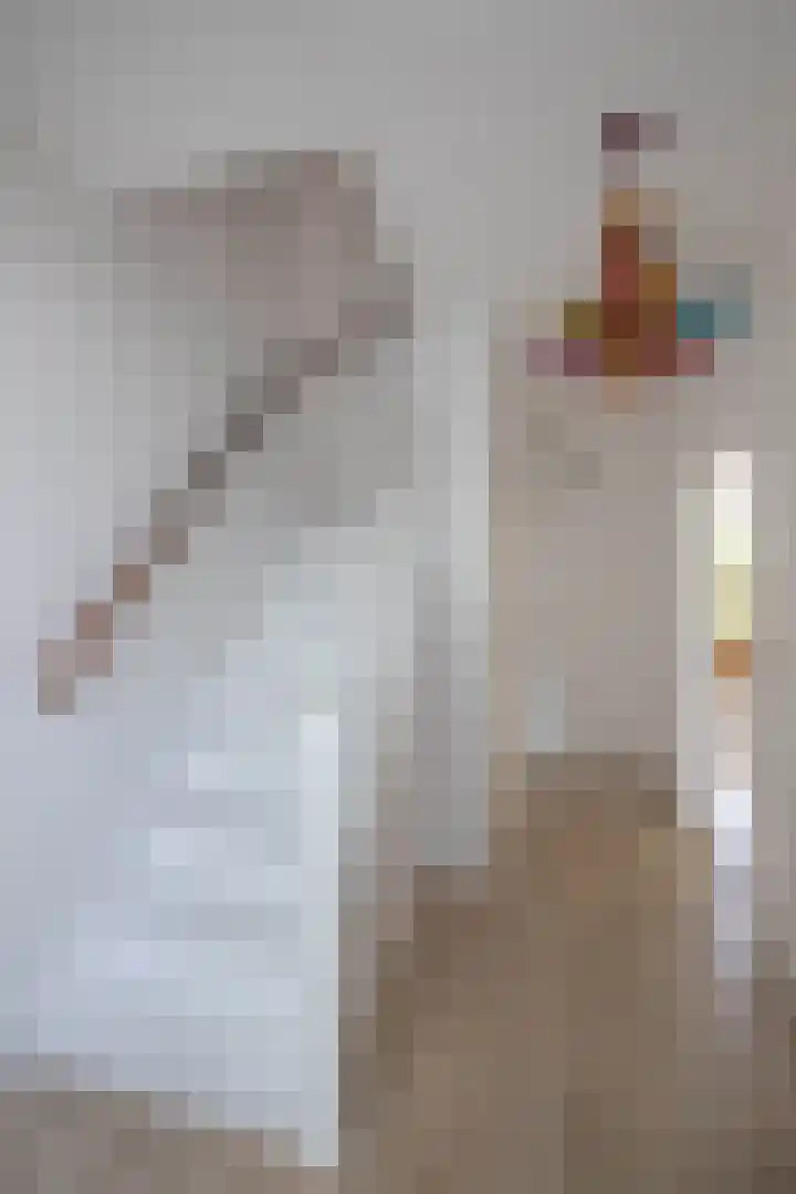 Nico van Suchtelenstraat 11 Hengelo thumbnail 13
