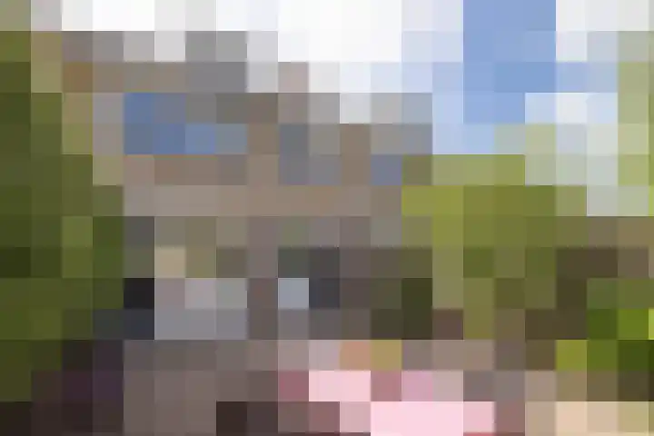 Nico van Suchtelenstraat 11 Hengelo thumbnail 23