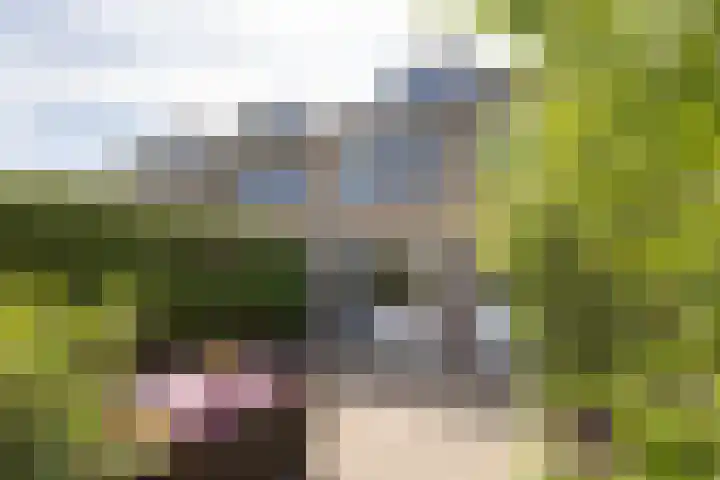 Nico van Suchtelenstraat 11 Hengelo thumbnail 24