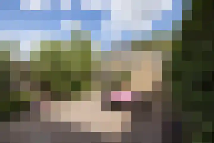 Nico van Suchtelenstraat 11 Hengelo thumbnail 26