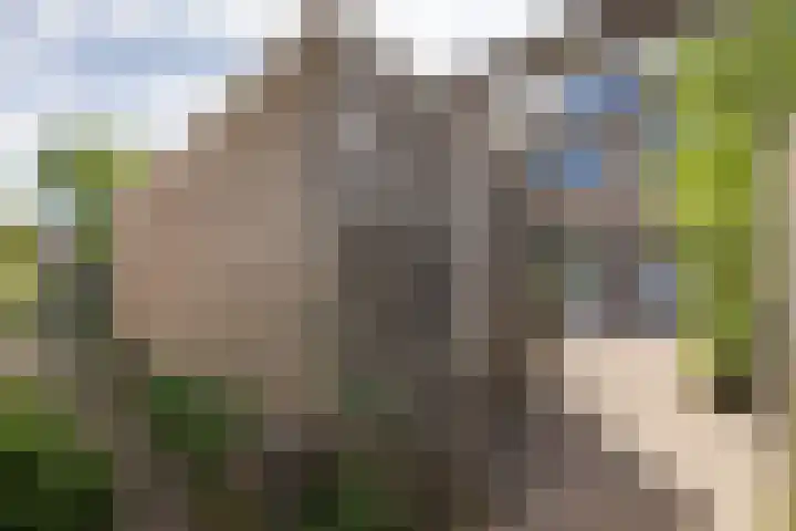 Nico van Suchtelenstraat 11 Hengelo thumbnail 27