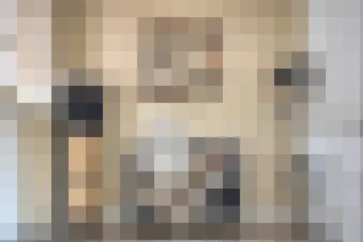 Nico Werkmanlaan 3 Almelo thumbnail 10