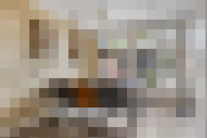 Nico Werkmanlaan 3 Almelo thumbnail 11