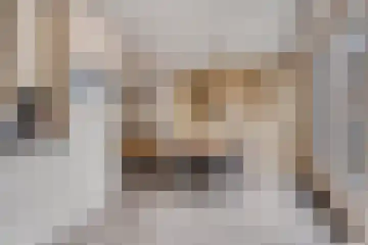 Nico Werkmanlaan 3 Almelo thumbnail 12