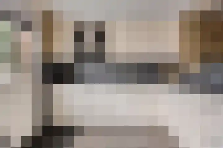 Nico Werkmanlaan 3 Almelo thumbnail 14
