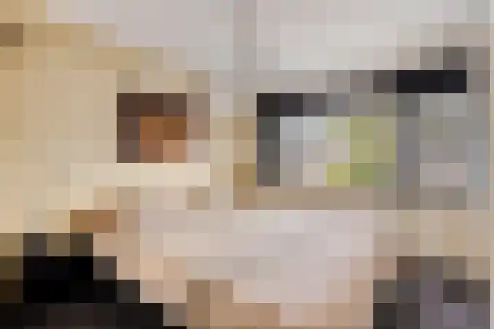 Nico Werkmanlaan 3 Almelo thumbnail 17