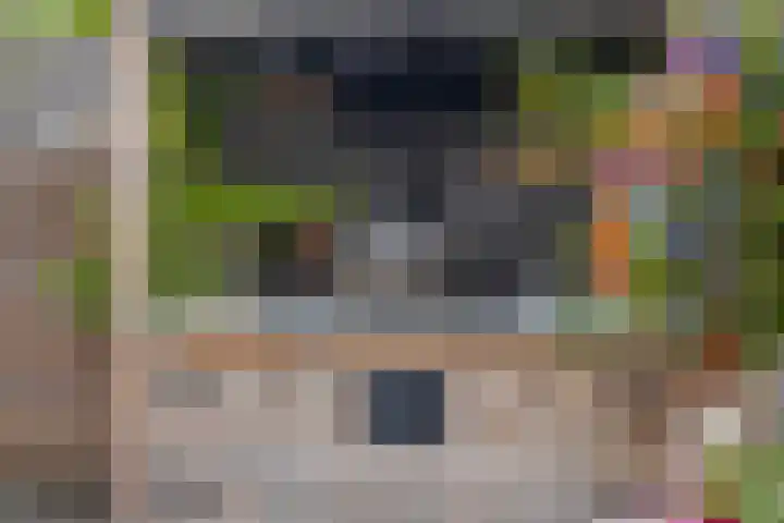 Nico Werkmanlaan 3 Almelo thumbnail 29