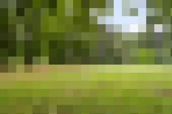 Nico Werkmanlaan 3 Almelo thumbnail 31