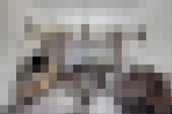Nico Werkmanlaan 3 Almelo thumbnail 8